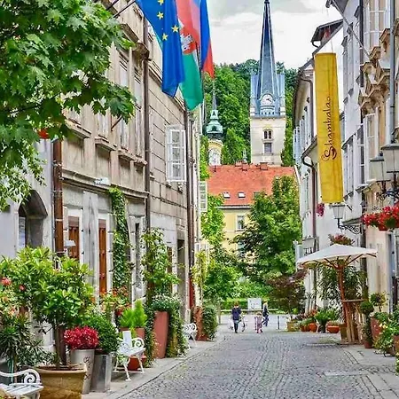 Artistic Quiet Crusader Street Ljubljana