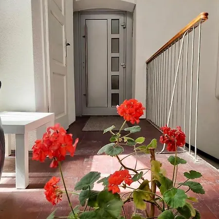 Artistic Quiet Crusader Street