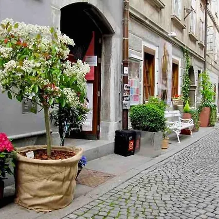Artistic Quiet Crusader Street Apartment *