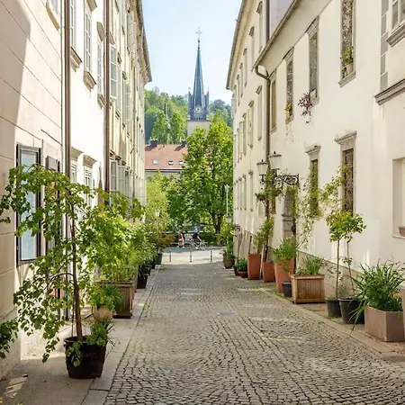 Artistic Quiet Crusader Street * Ljubljana