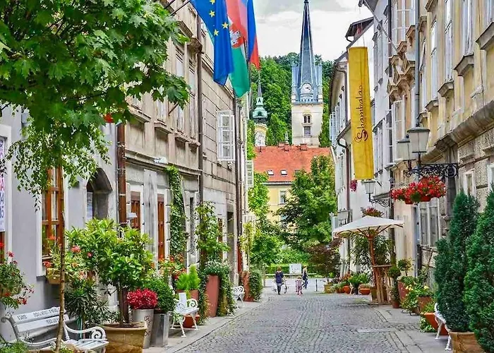 Artistic Quiet Crusader Street Ljubljana