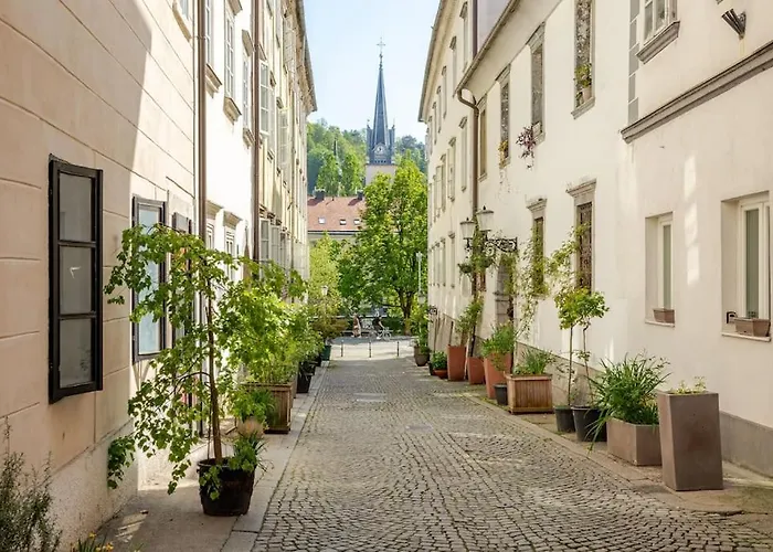Artistic Quiet Crusader Street * Ljubljana